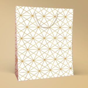 Ivory Luxe ? White & Gold Geometric Gift Bag